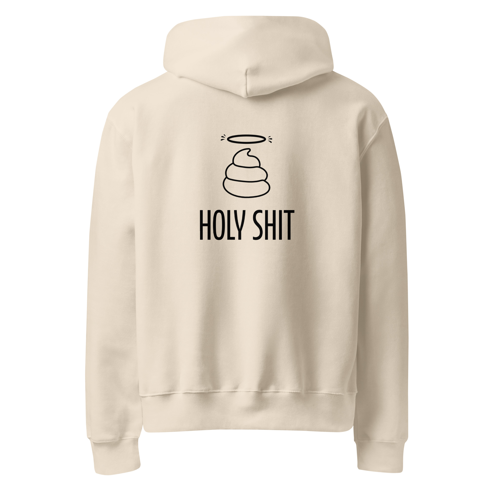 unisex-oversized-heavyweight-hoodie-dust-back-690ee77fa39e6.jpg