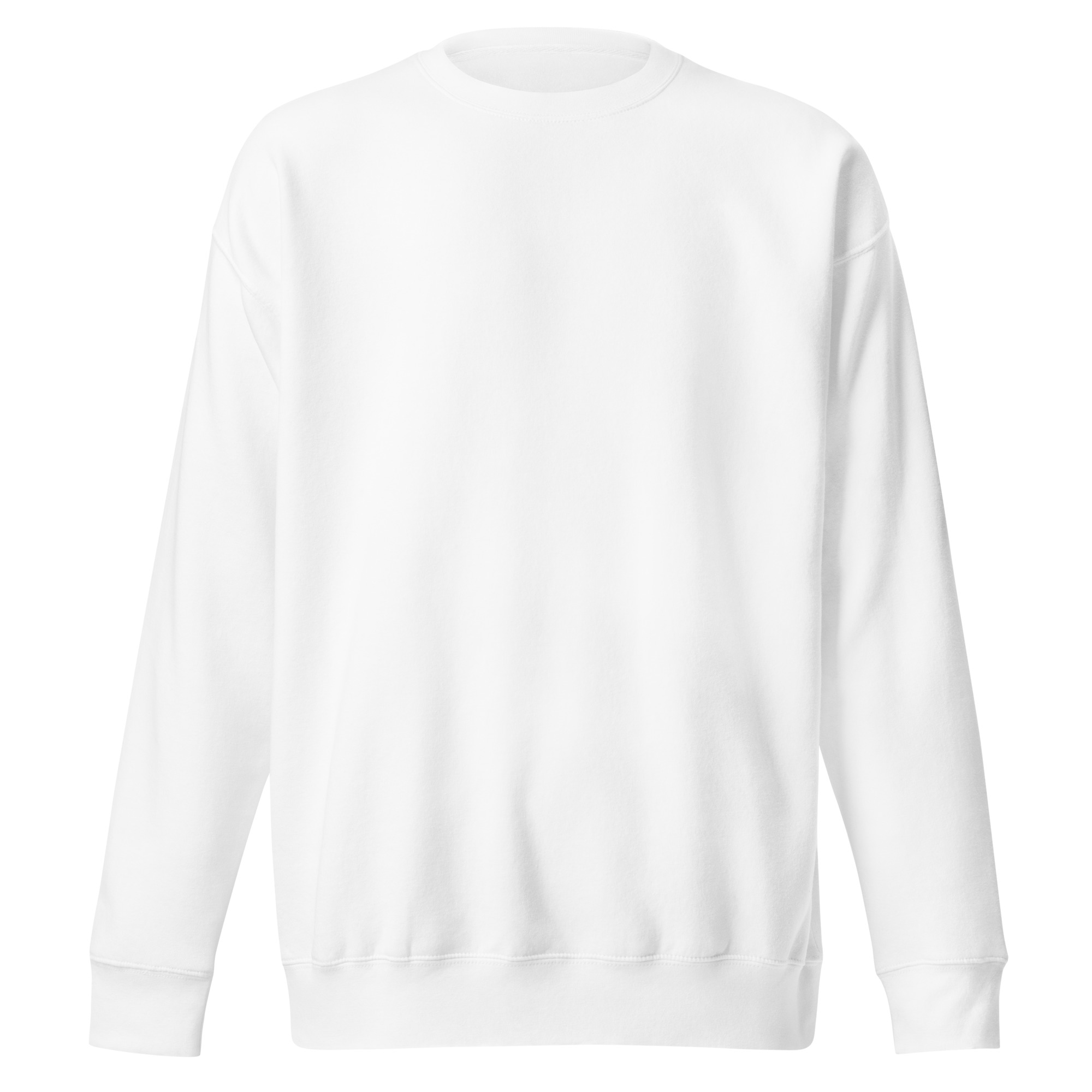 unisex-premium-sweatshirt-white-front-6916c72a1c899.jpg